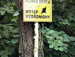 Fotoblog imokay