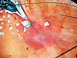 Fotoblog natalka505