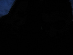 Fotoblog dodupyy