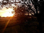 Fotoblog tasia1226