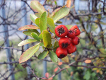 Fotoblog ewuska1234