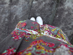 Fotoblog whiteotea