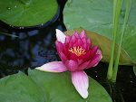 Fotoblog horo