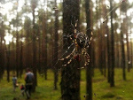 Fotoblog 0lkaa