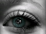 Fotoblog thesoundofmissingyou