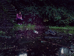 Fotoblog cees