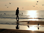 Fotoblog scaredoflonely
