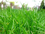 Fotoblog omo1