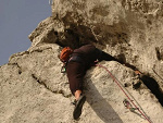 Fotoblog kogucik3399