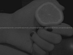 Fotoblog proelobajlando