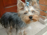 Fotoblog nikita9527