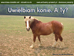 Fotoblog tina110602001