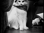 Fotoblog backtooldschool