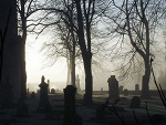 Fotoblog pogrzanyoptymista