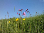 Fotoblog suchenka15