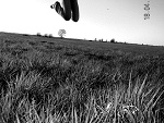 Fotoblog doubledealer