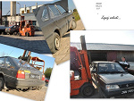 Fotoblog sloniowy
