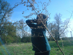 Fotoblog wieciek