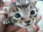 Fotoblog elwirczi13