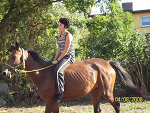 Fotoblog xxalexx