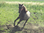 Fotoblog xstajniaaxlubonx