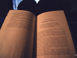 Fotoblog tinuviel91