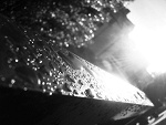 Fotoblog vizjerei