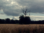 Fotoblog hate0