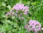 Fotoblog blazej271