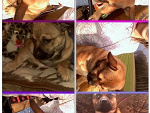 Fotoblog jerzynka12