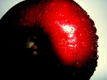 Fotoblog acidvein
