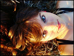 Fotoblog somestupidthings