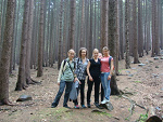 Fotoblog myspell