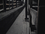 Fotoblog dream29