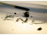 Fotoblog kissek27
