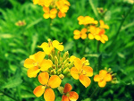 Fotoblog kesi1107
