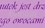 Fotoblog sniikers