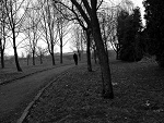 Fotoblog mrocznedziewice