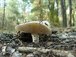 Fotoblog magierek1995