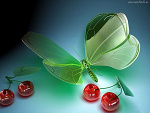 Fotoblog ourwoorld