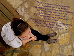 Fotoblog pokemo0on