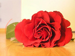 Fotoblog zzolowana