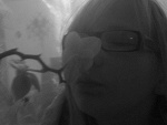 Fotoblog krecikxd