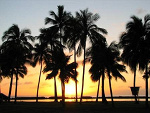 Fotoblog asiaxd234