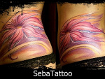 Fotoblog bullet78