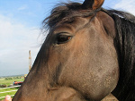Fotoblog julkaa24