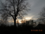 Fotoblog naturaleza788