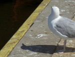 Fotoblog haito