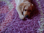 Fotoblog oooslonkoooo89