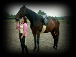 Fotoblog loveforhorses
